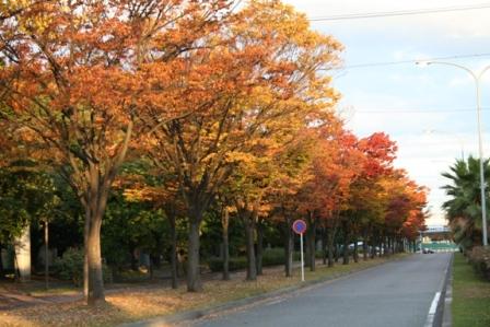 稲永公園の秋の画像