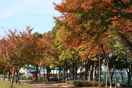 土古公園の秋の画像