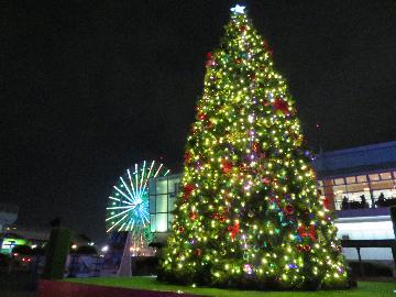 ジェティ広場前クリスマスツリーの画像