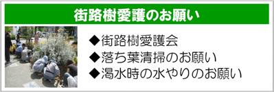 街路樹愛護会、落ち葉清掃のお願い、渇水時の水やりのお願いなど、街路樹愛護のお願いについては、こちらをご覧ください。