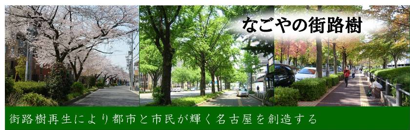 街路樹のある緑ゆたかな街並み